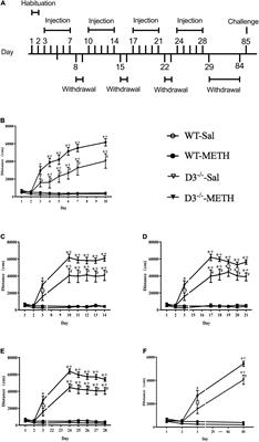 Knockout of Dopamine D3 Receptor Gene Blocked Methamphetamine-Induced Distinct Changes of Dopaminergic and Glutamatergic Synapse in the Nucleus Accumbens Shell of Mice